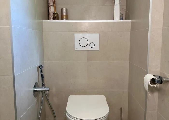 公寓 Apartman Pardubice 帕尔杜比采