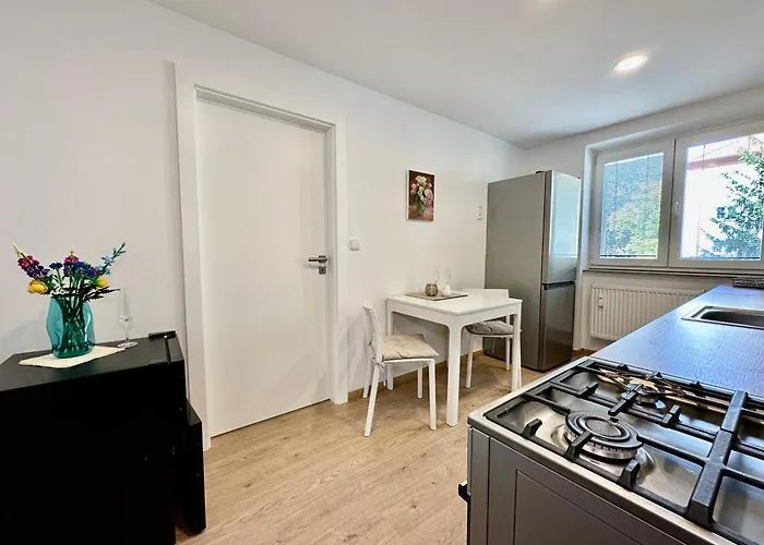 Apartman Pardubice 公寓 帕尔杜比采