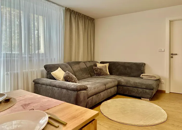 Apartman Pardubice 公寓 *